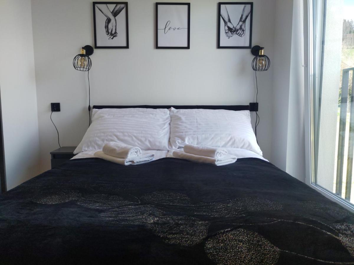 ויסלאו Apartament Zuza W Wisle מראה חיצוני תמונה